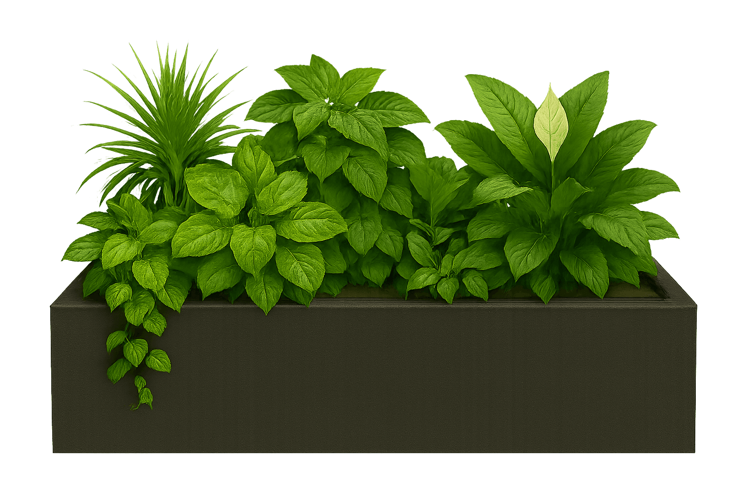slat wall background